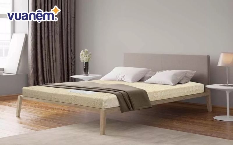 Đệm Foam Goodnight Eva