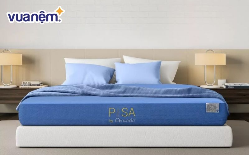 Nệm foam Amando Pisa