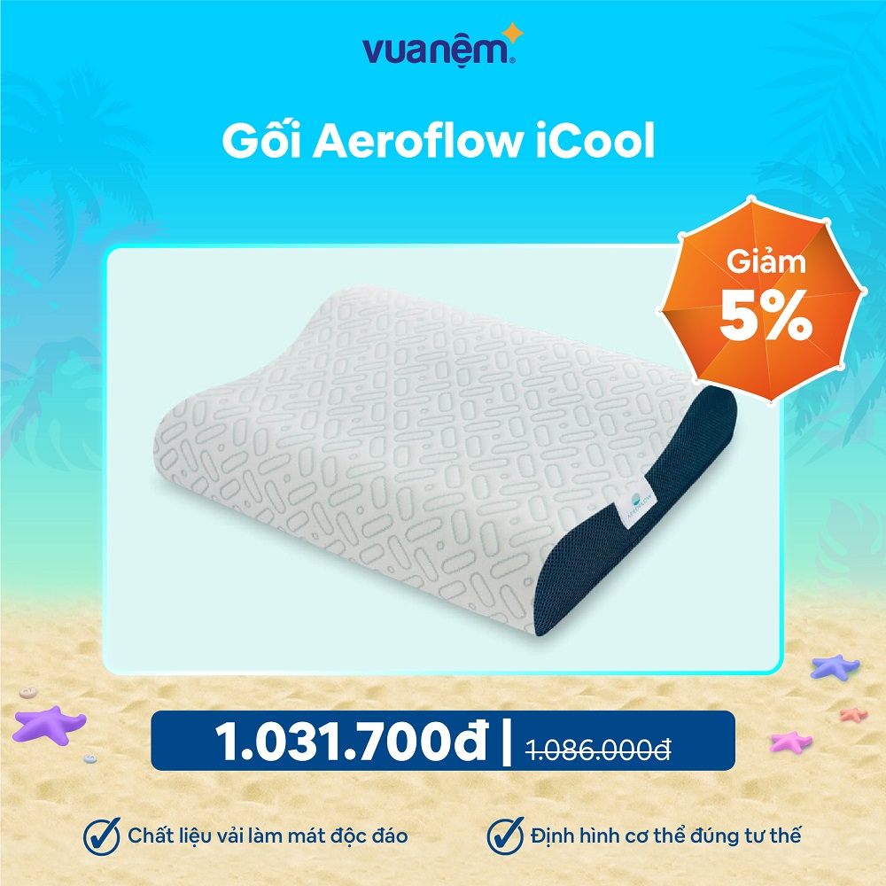 "Nệm mát át nắng hè" khuyến mãi Gối Aeroflow iCool giảm giá 5%