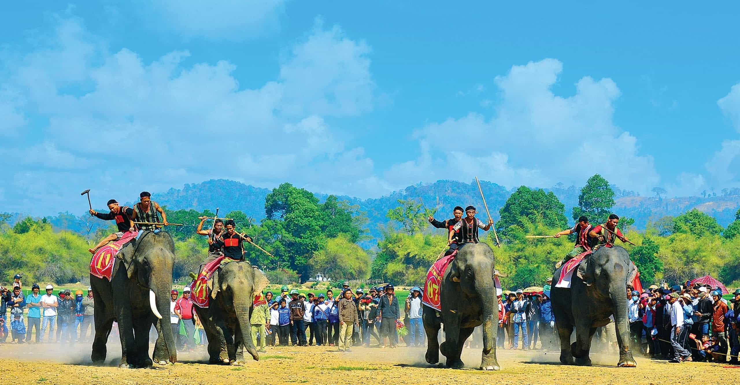 Lễ hội đua voi 
