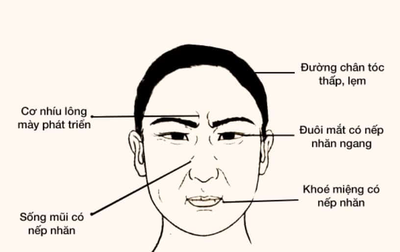 nhân tướng học khuôn mặt