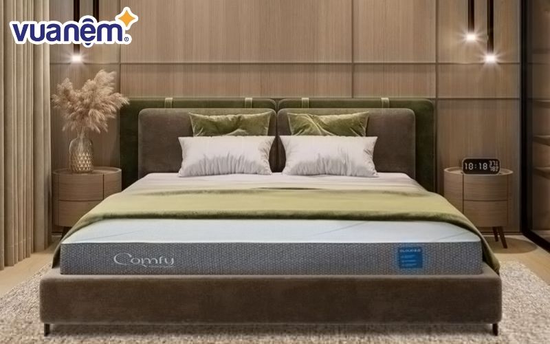 Lông chó mèo có thể gây ảnh hưởng đến không gian sống