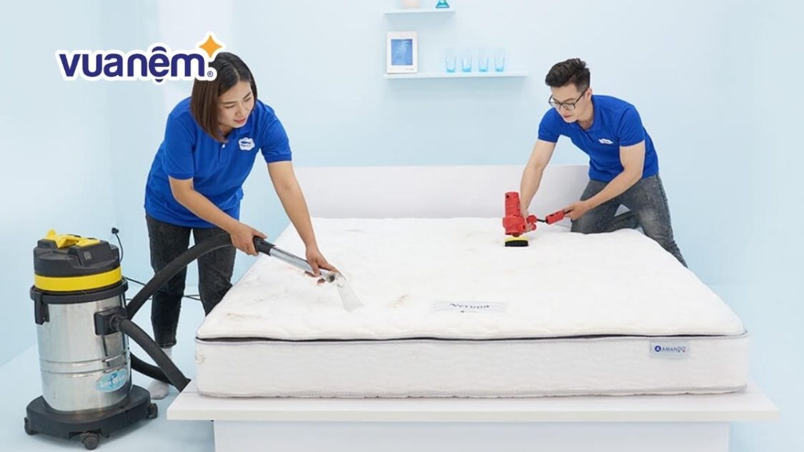 Loại bỏ lông chó mèo