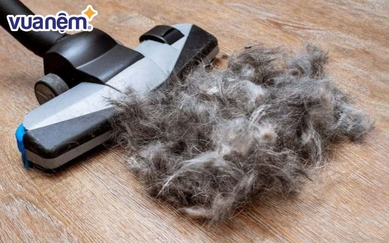 Máy hút bụi hút lông thú cưng