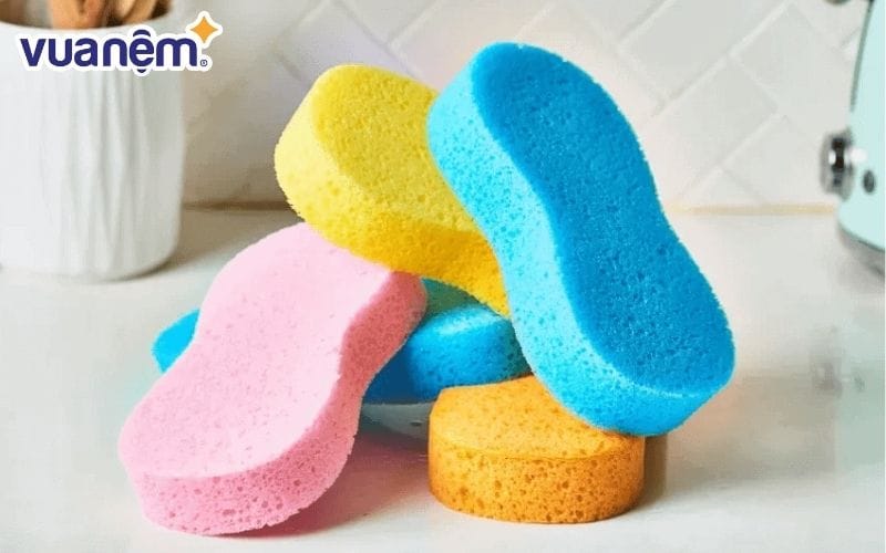 Dùng miếng bọt biển để loại bỏ lông chó mèo trên nệm, thảm, sofa