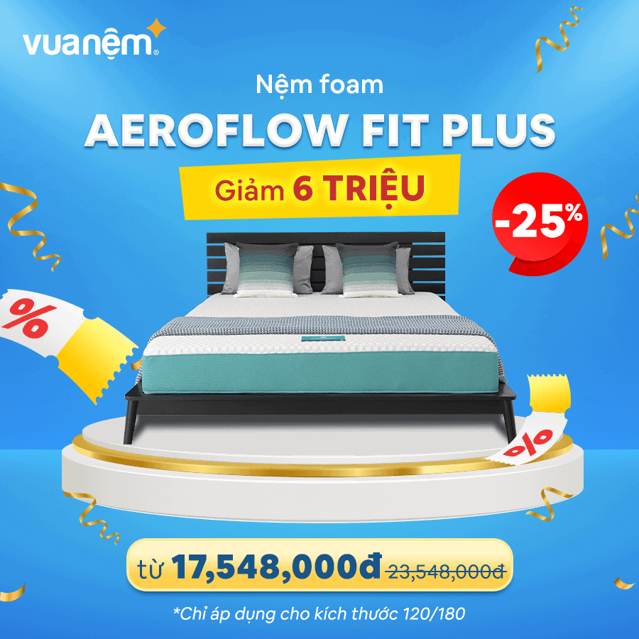 Nệm Foam Aeroflow Fit Plus