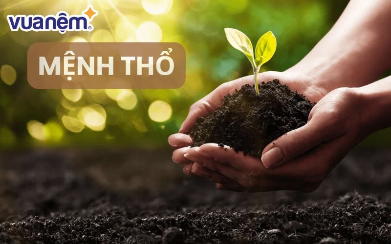 Một số điều tổng quan về mệnh Thổ