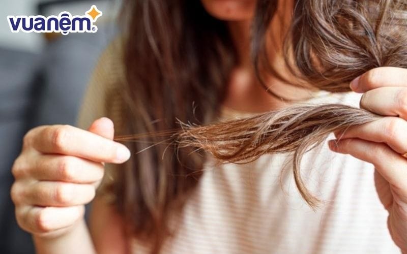 Tóc dễ bị hư tổn, gãy rụng, xơ rối khi đi ngủ với tóc ướt thường xuyên