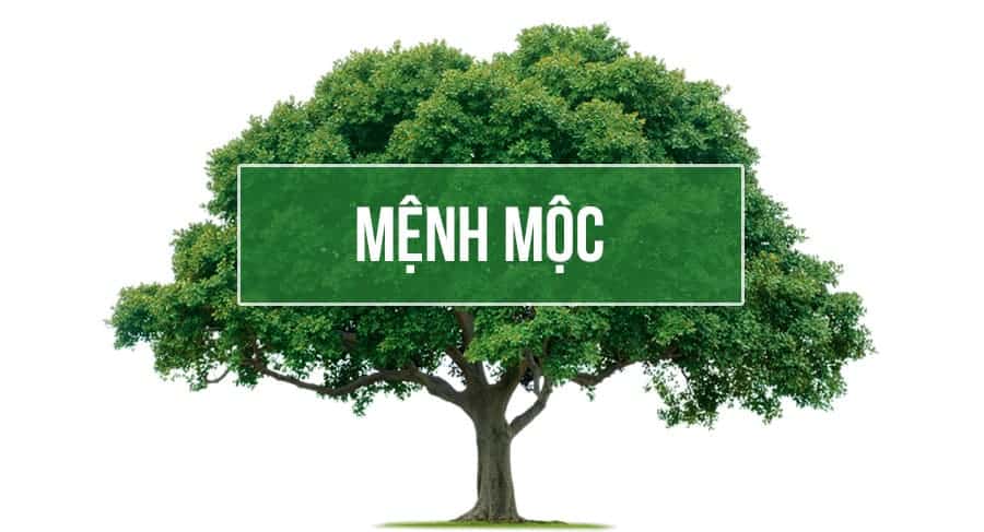 các con số hợp mệnh Mộc 