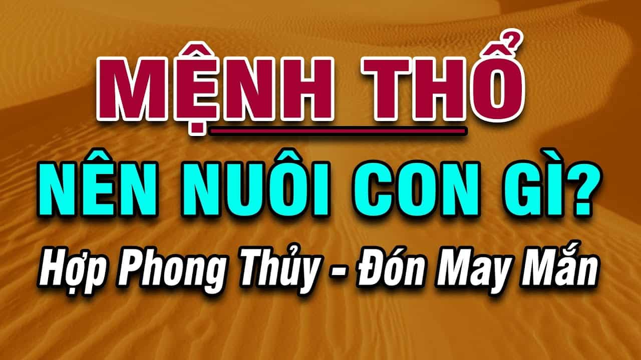 Mệnh Thổ hợp nuôi con gì để hút tài lộc và may mắn?