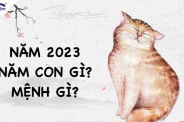 Năm 2023 là năm con gì