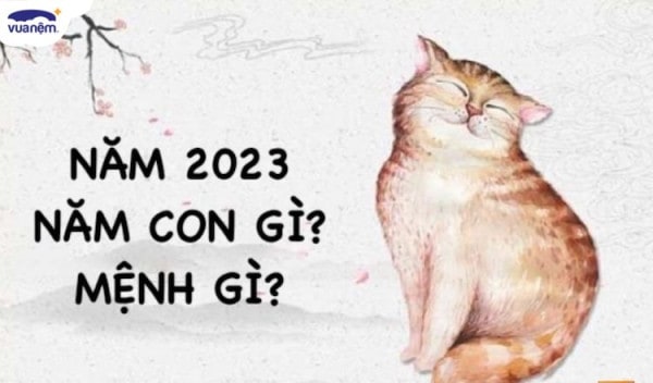 2023 năm con gì? Tuổi Quý Mão 2023 mệnh gì? hợp màu gì, kỵ màu gì?