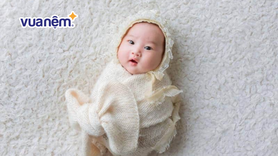 vận mệnh gia hưng