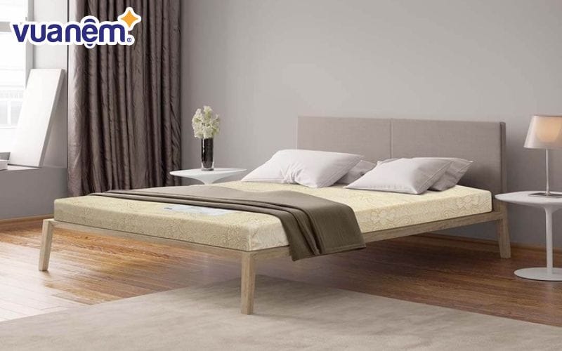 Nệm foam Goodnight Eva