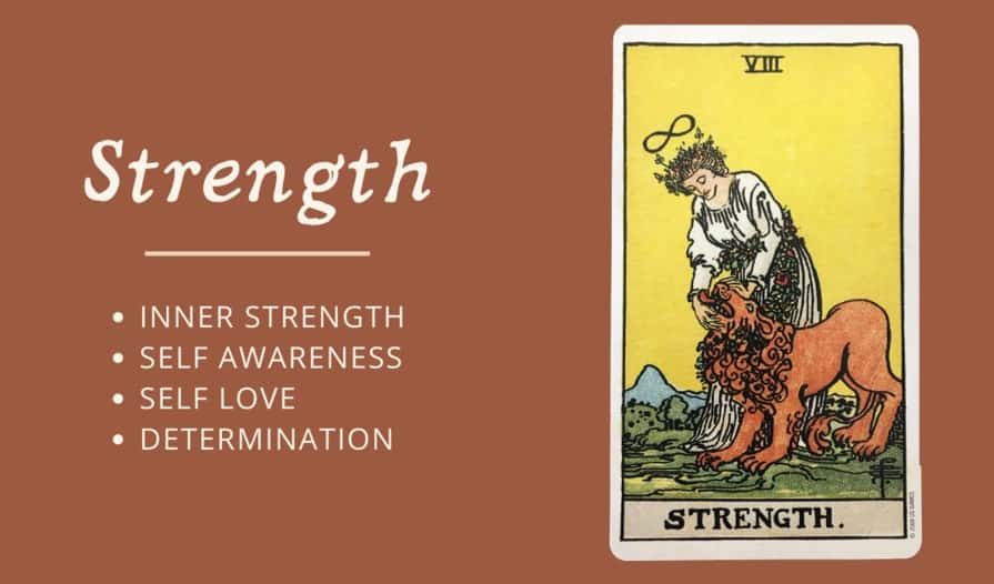 ý nghĩa 78 lá bài tarot the strength