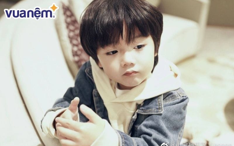 Tìm hiểu cuộc đời của người có tên Gia Huy