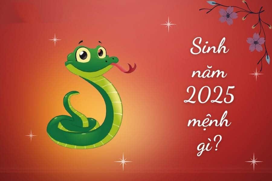 2025 là năm con gì? Mệnh gì? Sinh con tốt không?