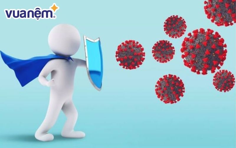 Hệ miễn dịch tăng cường bảo vệ cơ thể