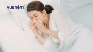 Thử ngay 15 cách để hết nghẹt mũi khi ngủ ngay lập tức