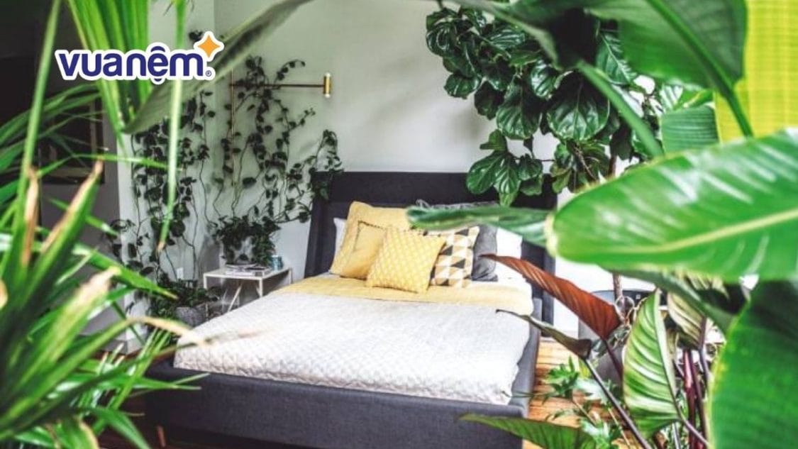 Cách tạo oxy cho phòng ngủ