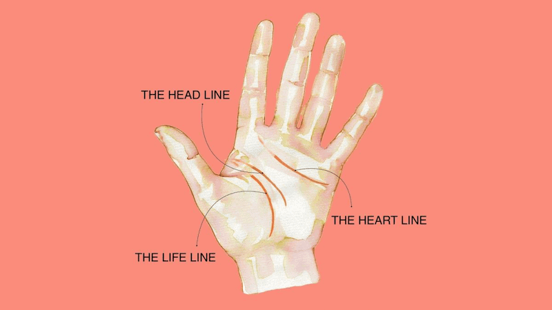 Lòng bàn tay mỗi người có 3 đường cơ bản là sinh đạo, trí đạo và tâm đạo
