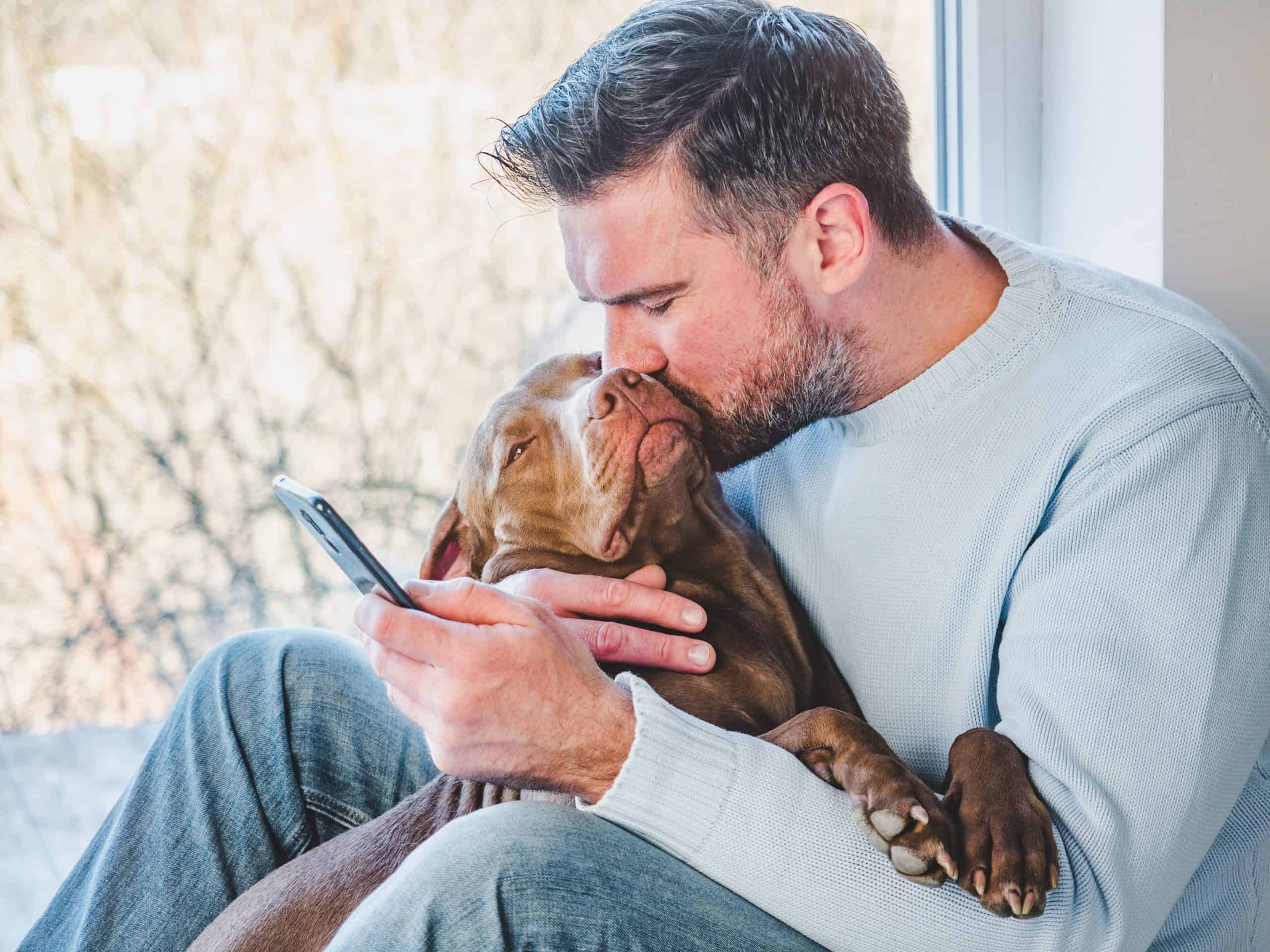 giá chó pitbull con