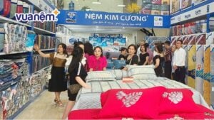 Danh sách đại lý nệm Kim Cương Hải Phòng chính hãng đáng mua