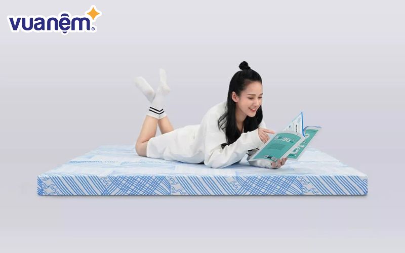 Nệm bông ép Kim Cương Titanium
