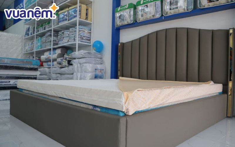 Đại lý nệm Kim Cương Mỹ Tho - Kim Dung