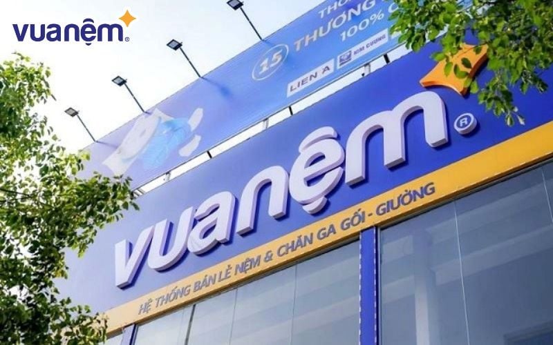 Bạn nên mua nệm Kim Cương tại các đơn vị phân phối uy tín