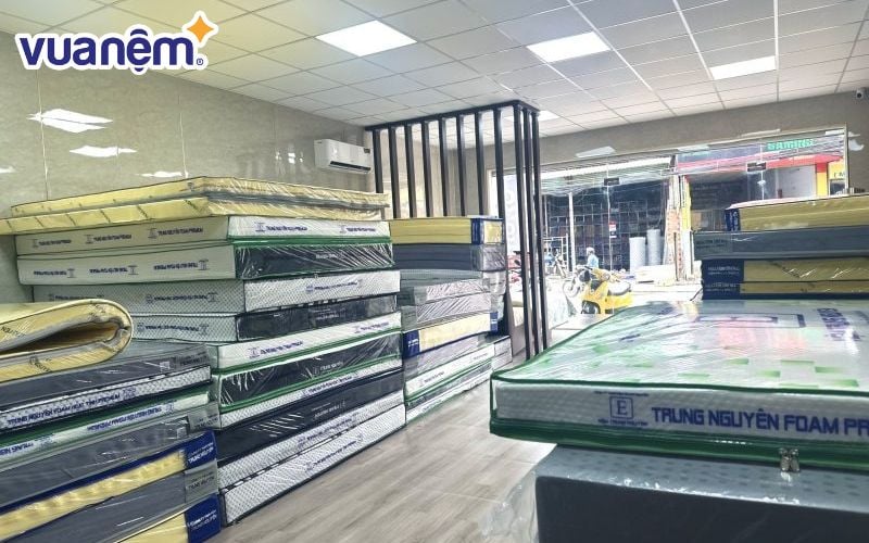 Đại lý nệm Kim Cương Quy Nhơn - Hoàng Phương