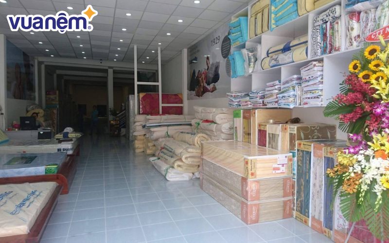 Đại lý Mạnh Hiển phân phối nệm Liên Á tại Biên Hòa
