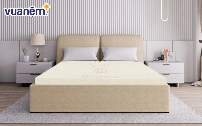 Đại lý nệm Vạn Thành tại Nha Trang cung cấp đa dạng các sản phẩm nệm của thương hiệu