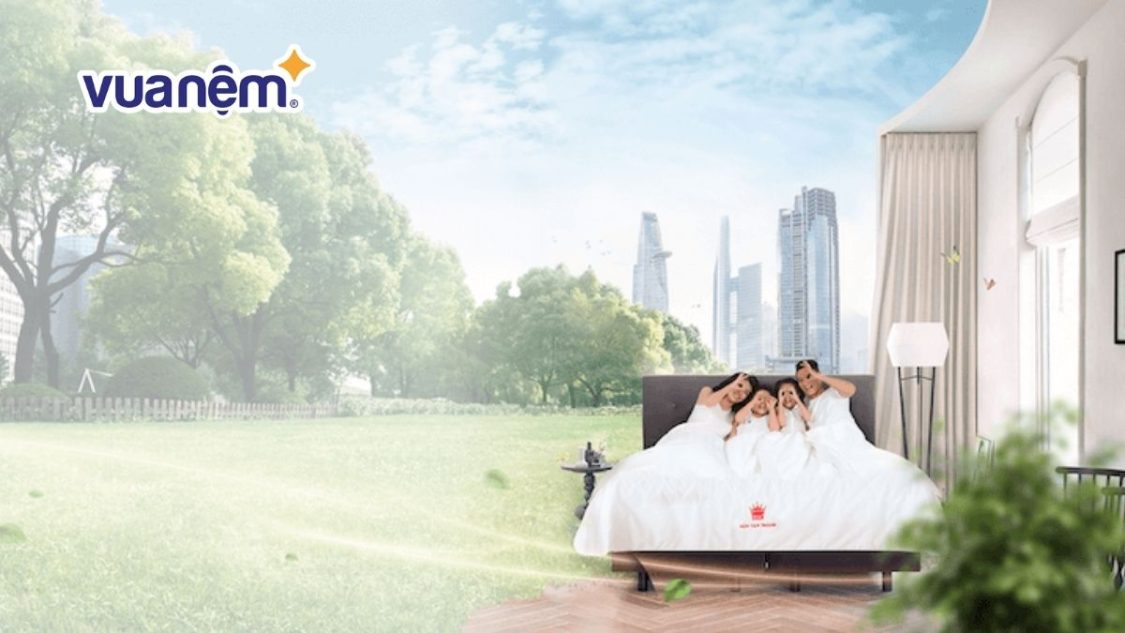 Đại lý nệm Vạn Thành tại Hà Nội