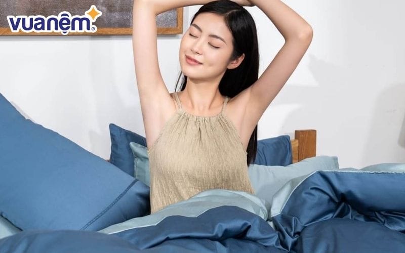 Giấc ngủ đến từ đâu?