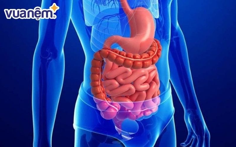 Nếu không ăn quá sát giờ ngủ, hệ tiêu hóa sẽ có thời gian phục hồi