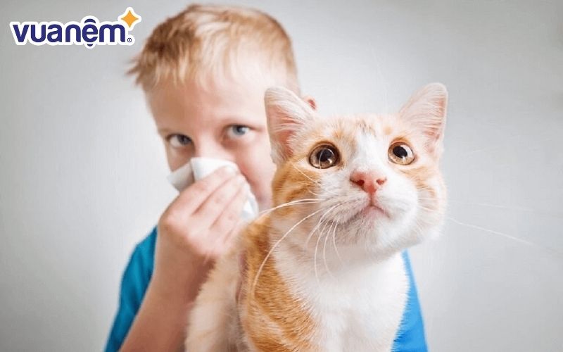 Một trong những tác nhân gây dị ứng phổ biến nhất đó là lông chó mèo