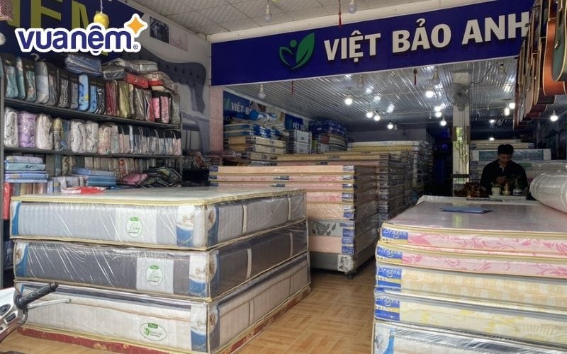 Mua nệm Vạn Thành tại Công ty Việt Bảo Anh