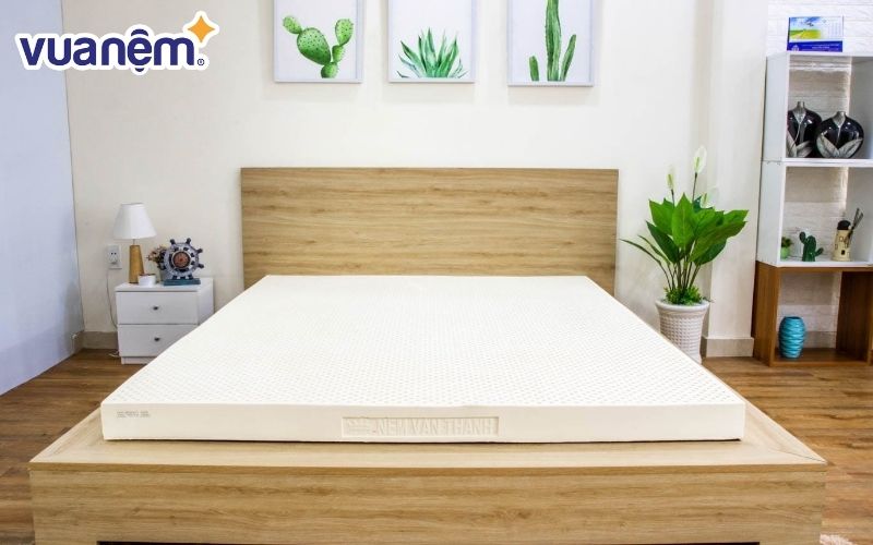 Đại lý Vạn Thành Tân Phú chuyên phân phối các sản phẩm cao cấp, chính hãng