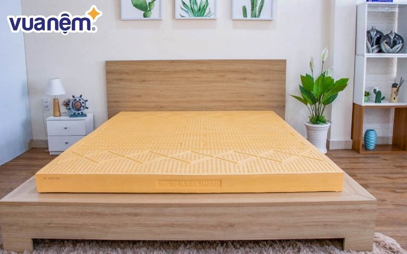 Đại lý nệm Vạn Thành phân phối nhiều sản phẩm như nệm cao su, nệm bông ép,...