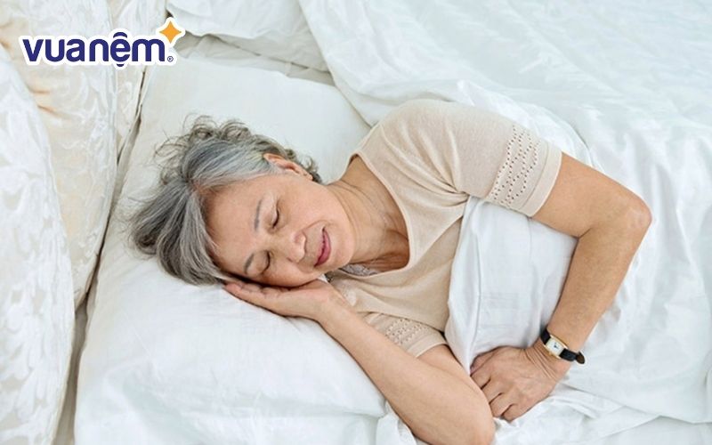 Nhịp Circadian chịu chi phối của quá trình lão hoá