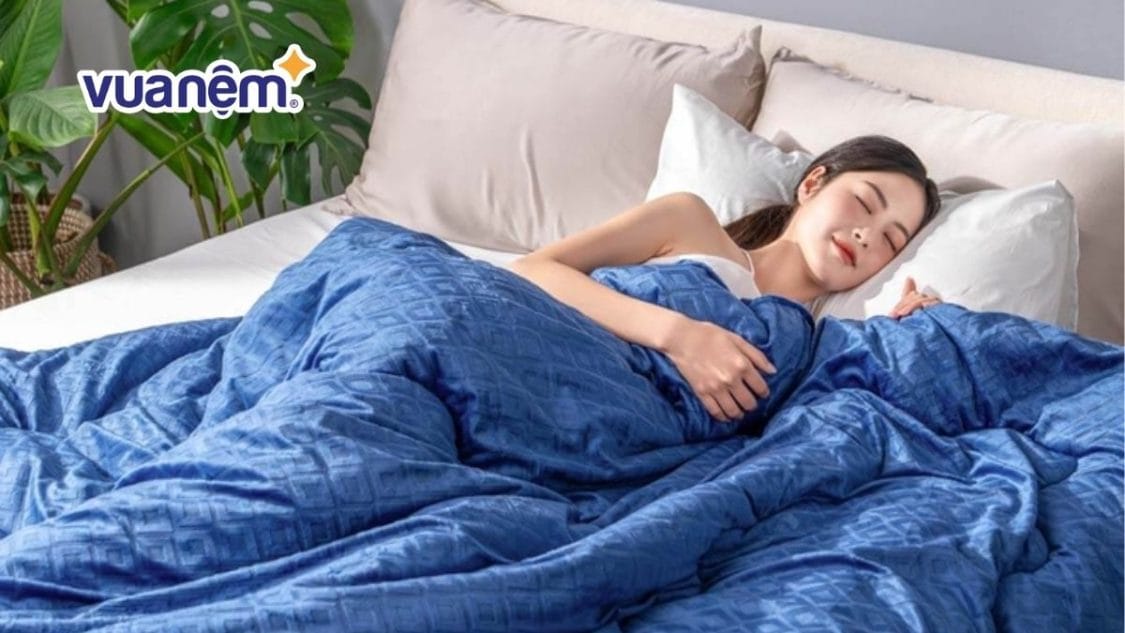 nhịp điệu Circadian