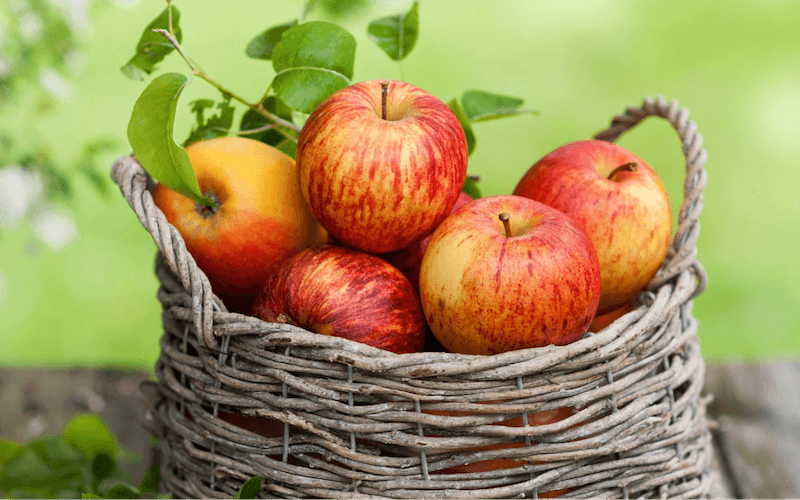 Ăn táo hỗ trợ hạn chế một số bệnh tật