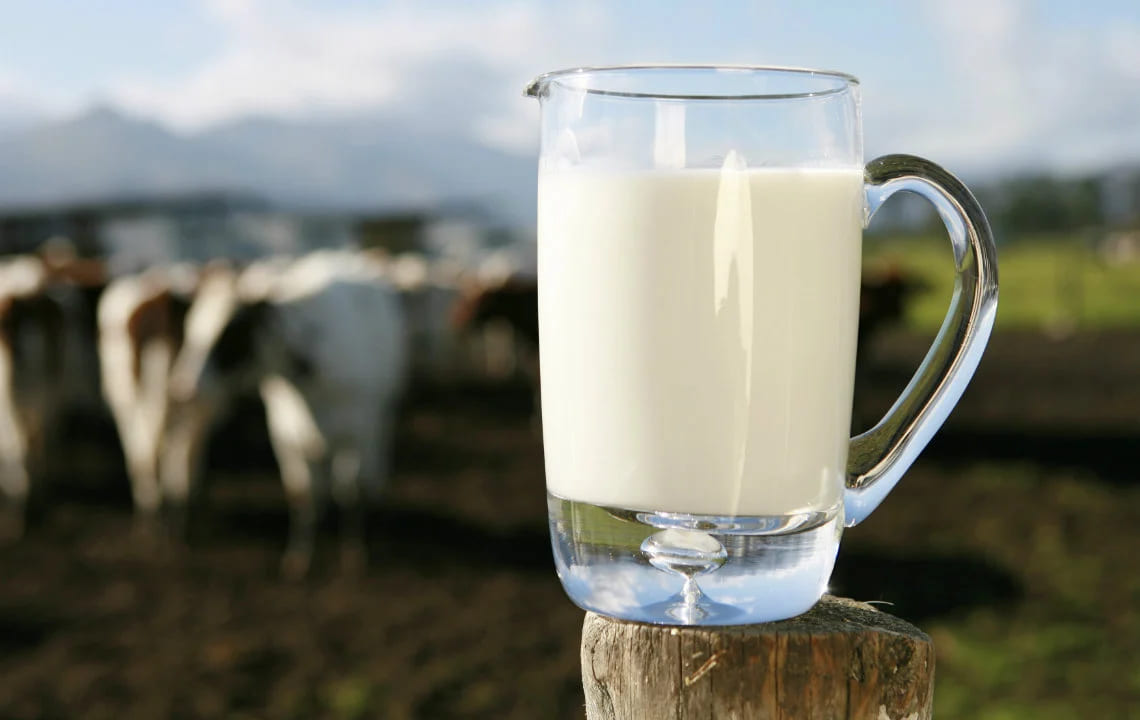 giảm cân bằng uống sữa tươi không đường