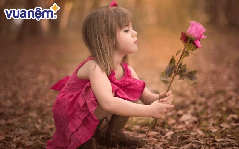 An Chi là người khá cô độc