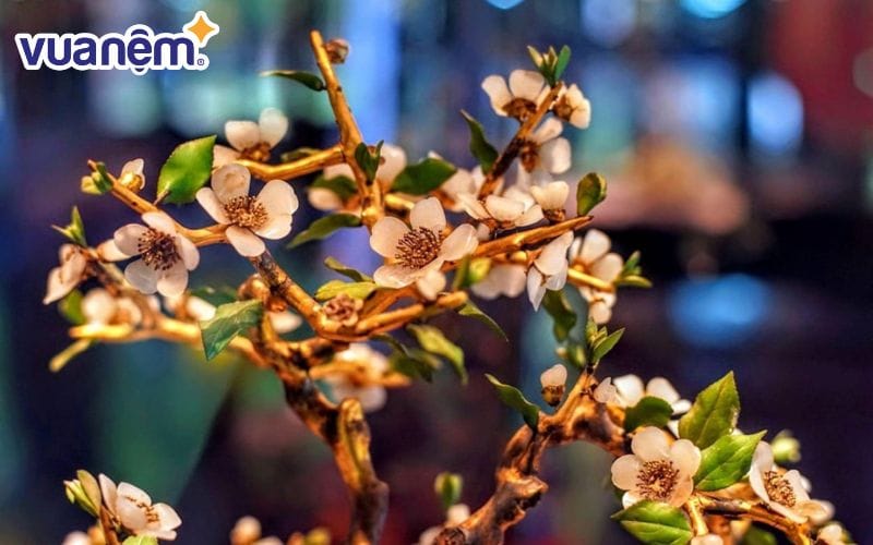 Kim chi ngọc diệp là bảo vật vô giá thời vua chúa