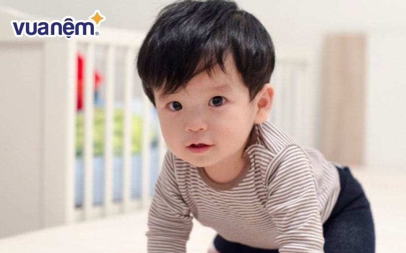 Báo Nguyên – Cái tên thể hiện hy vọng bé sẽ luôn nghiêm túc trong mọi hành vi