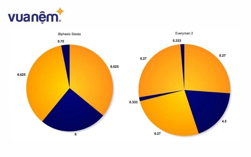 Biến thể Everyman 1 và 2