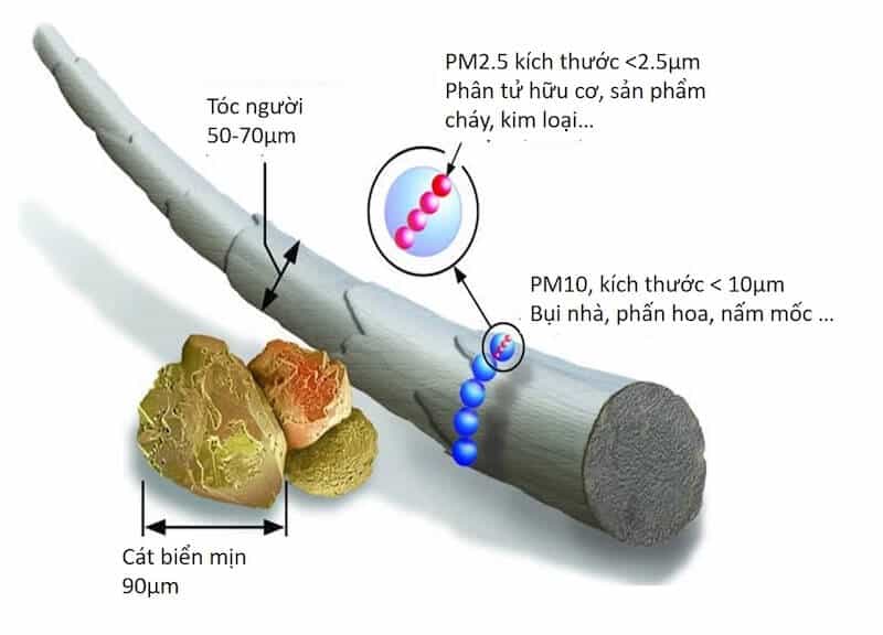 Bụi mịn PM2.5 có kích thước siêu nhỏ