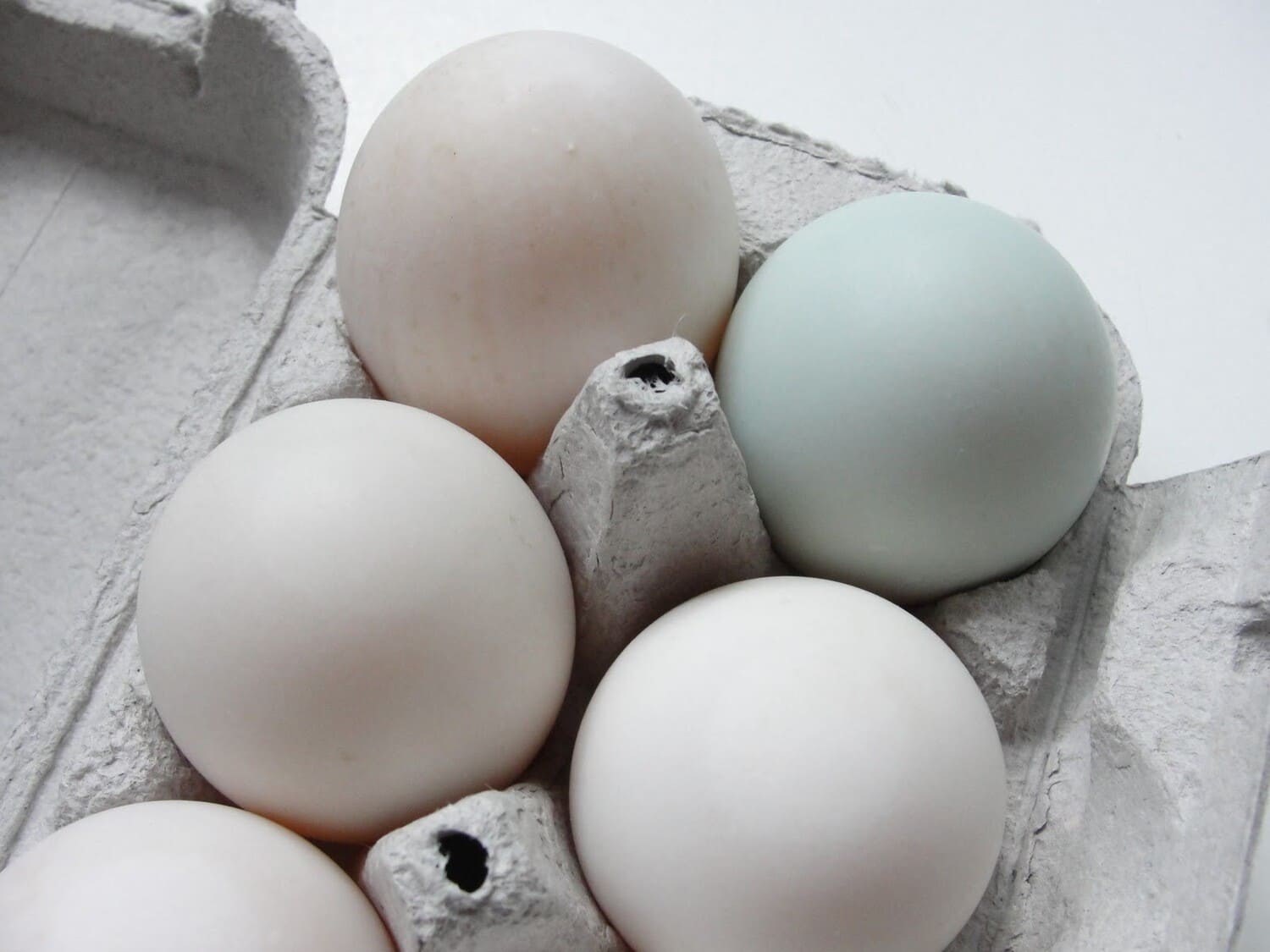 cách bảo quản trứng vịt lộn sống
